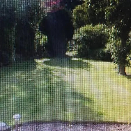 Sunnyside Northyorkshire